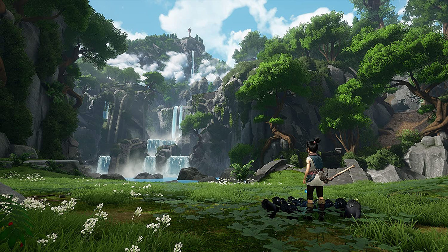 Kena Bridge of Spirits Deluxe Edition PS4 - GameStop Pakistan