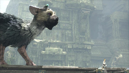 The Last Guardian PS4 - GameStop Pakistan